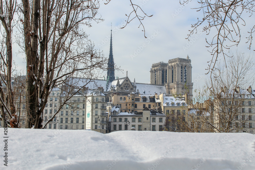 Notre-Dame de Paris under the snow