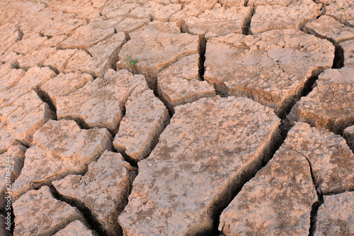 Dried and Cracked ground,arid soil close up