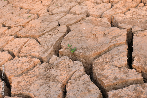 Dried and Cracked ground,arid soil close up