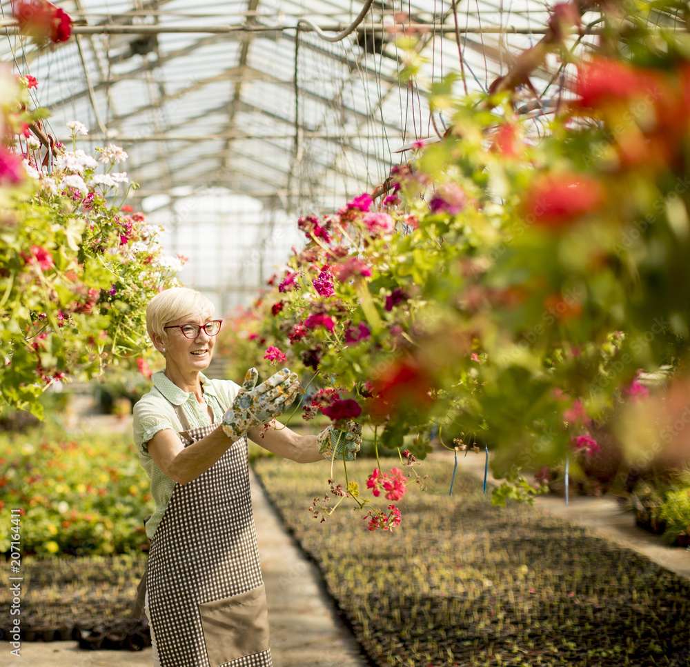 Senior woman working about flowers in greengarden