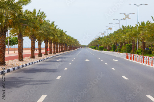 highway with palm trees © serikbaib
