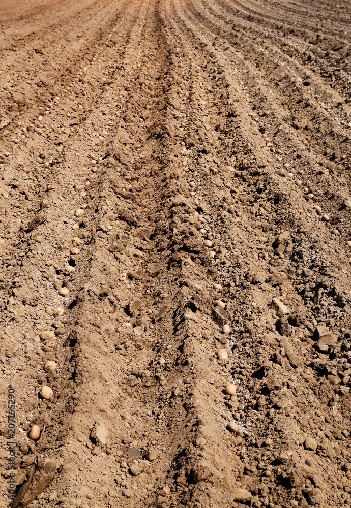 Spring preparations on the field. Spring preparations on the field.