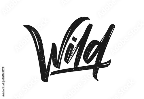 Vector illustration: Hand drawn brush type calligraphic lettering of Wild on white background.