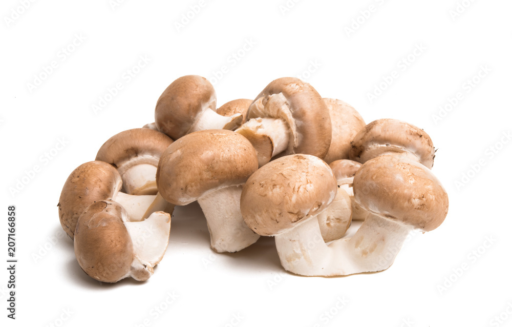 royal mushrooms isolated royal mushrooms isolated
