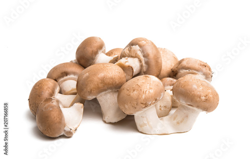 royal mushrooms isolated