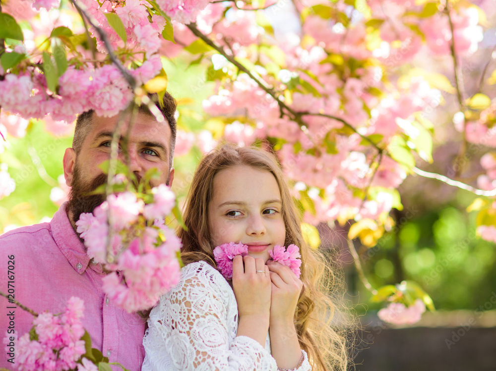 Obraz premium Childhood concept. Girl with dad near sakura flowers on spring day. Child and man with tender pink flowers in beard. Father and daughter on happy faces play with flowers, sakura background.
