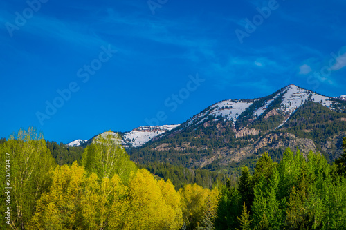 Grand Tetons range in morning light, with a huge mounatins partial covered with snow in the horizont in gorgeous blue sky