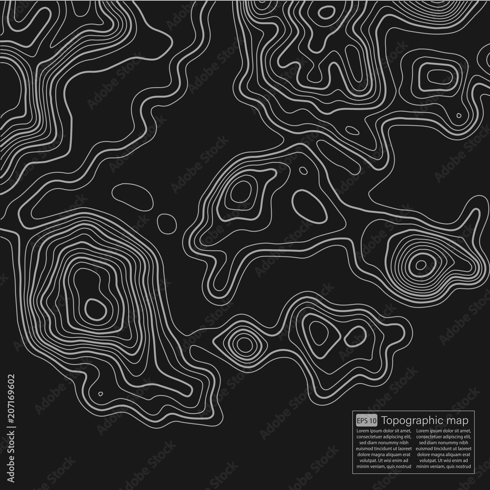 Topographic map. Topographical background. Linear graphics. Vector illustration. Topographic map. Topographical background. Linear graphics. Vector illustration.