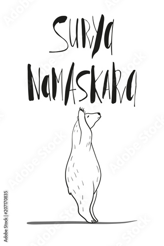 funny yoga with polar bear, fitness white bears, yoga poses, Surya Namaskara meditation. Ashtanga vinyasa yoga poses