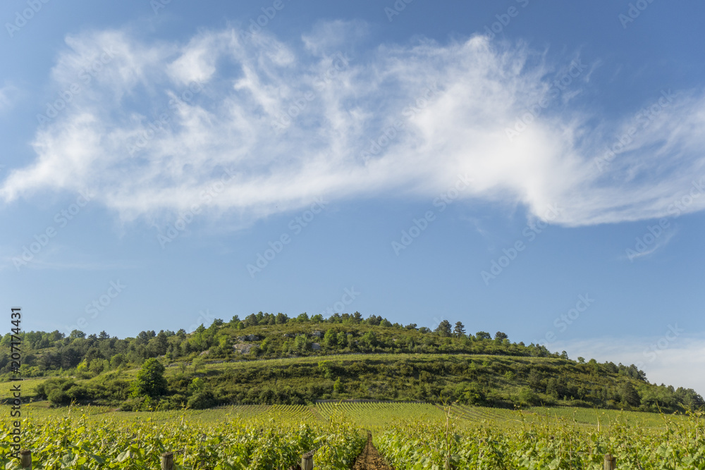 Nuage au-dessus du vignoble