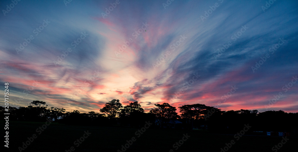 Fototapeta premium Silhouette 