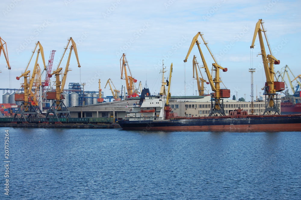 large cargo ships in the port with cranes