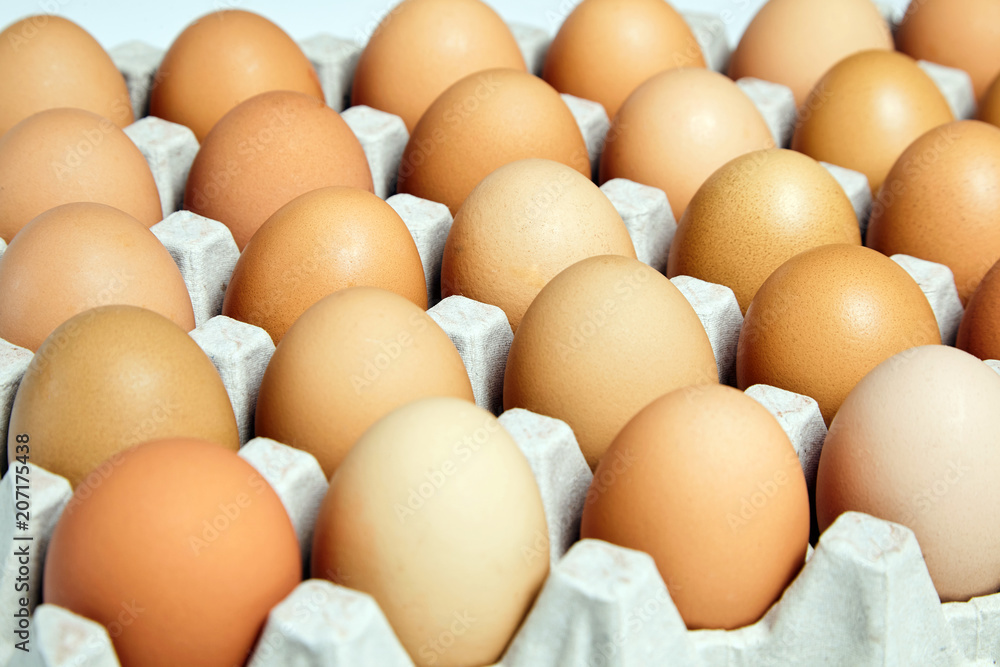 chicken eggs in the cardboard egg tray