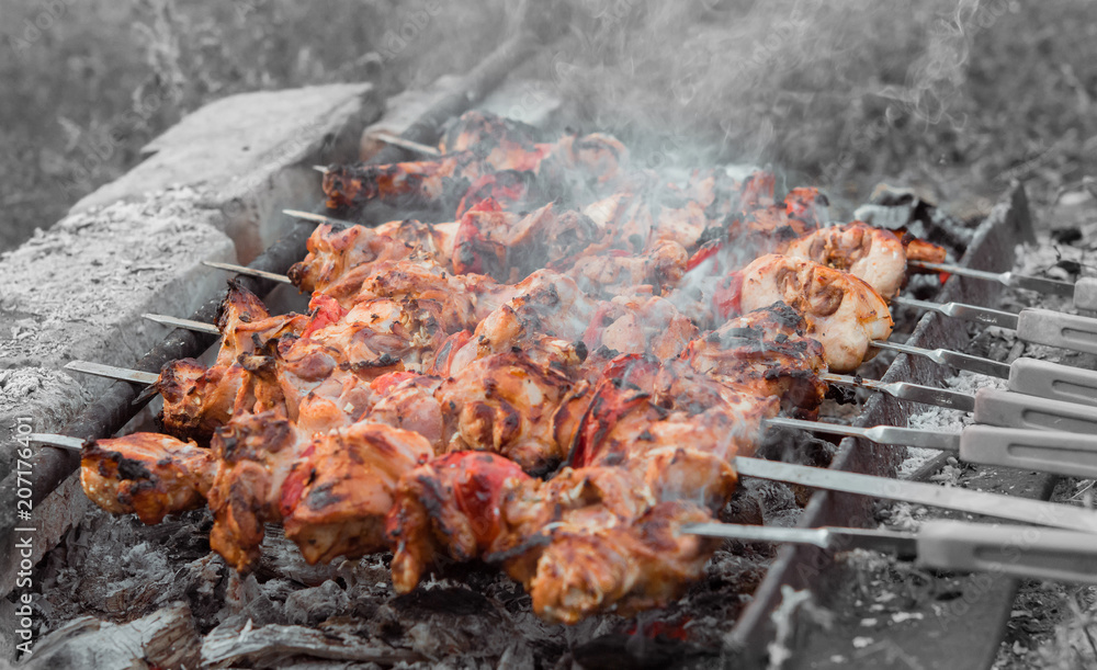 Close up shot of appetizing hot shish kebab with tomatoes on metal skewers prepares on the coals outdoors. Grilling shashlik on barbecue grill.