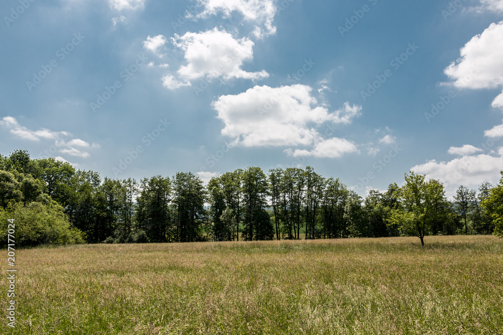 Obraz premium German countryside with forests, fields and meadows