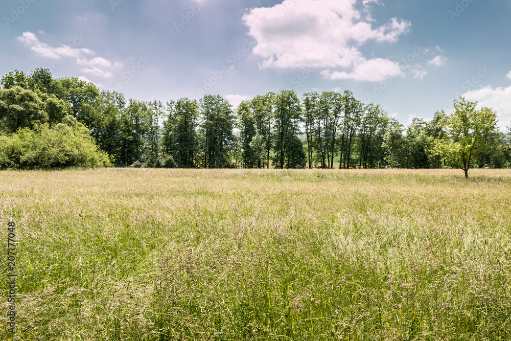 German countryside with forests, fields and meadows