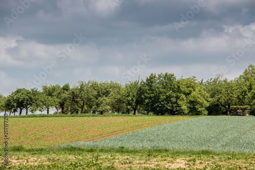 German countryside with forests, fields and meadows