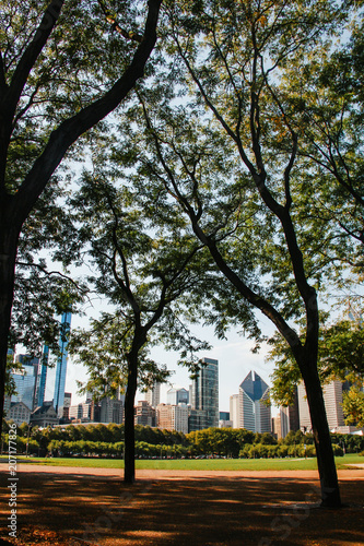 Fototapeta Naklejka Na Ścianę i Meble -  City of Chicago downtown USA buildings between trees