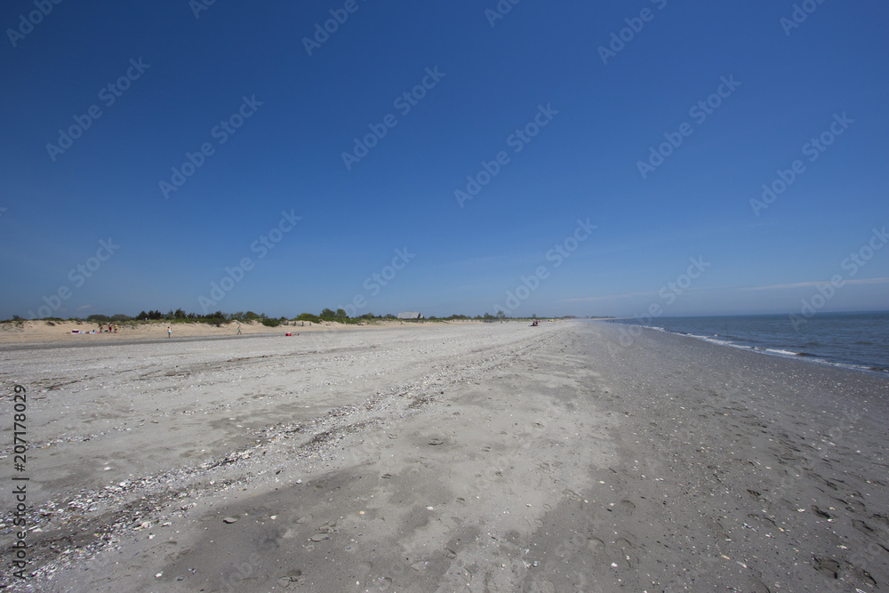New England beach landscapes