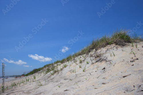 New England beach landscapes