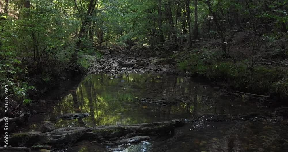 Gliding over a peaceful river stream Gliding over a peaceful river stream