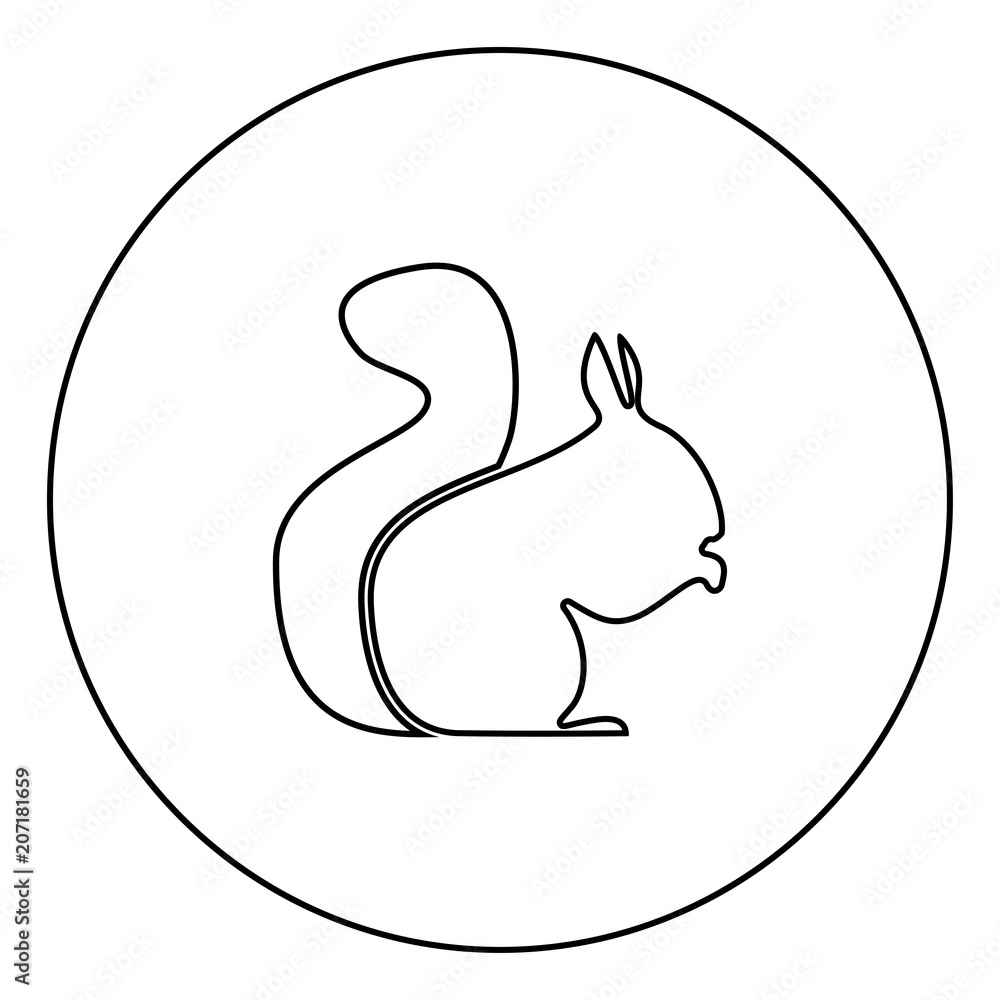 Squirrel black icon in circle outline Squirrel black icon in circle outline