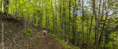 Photos Bronte Creek trail
