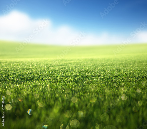 Photography field of spring grass (shallow DOF)
