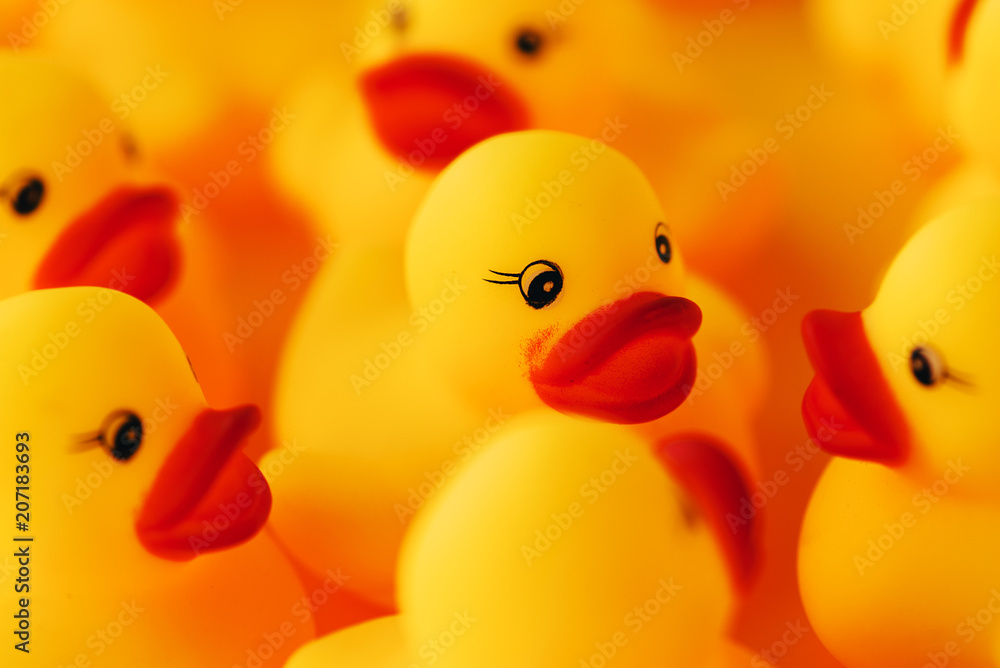 Group of rubber ducks chatting Group of rubber ducks chatting