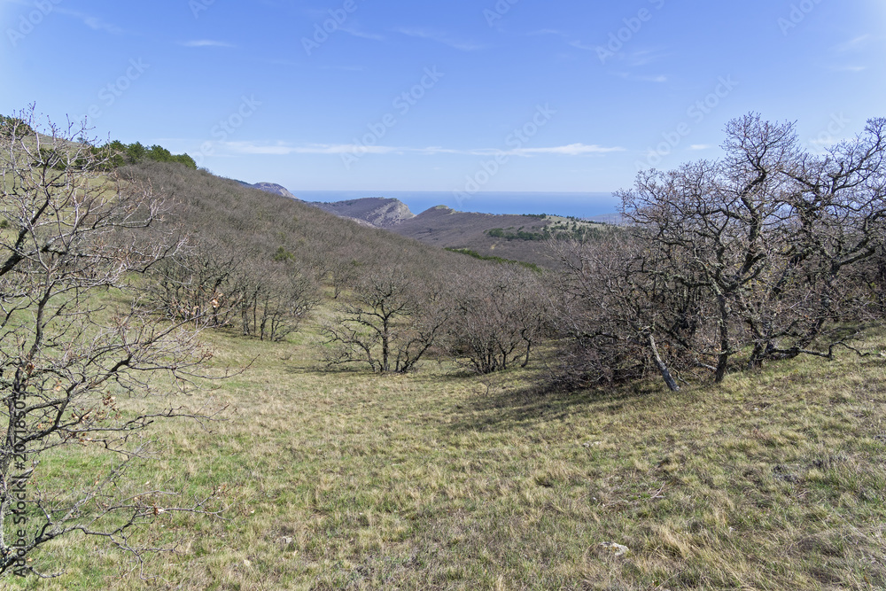 Naklejka premium The path leading along the top of the ridge. Crimea.