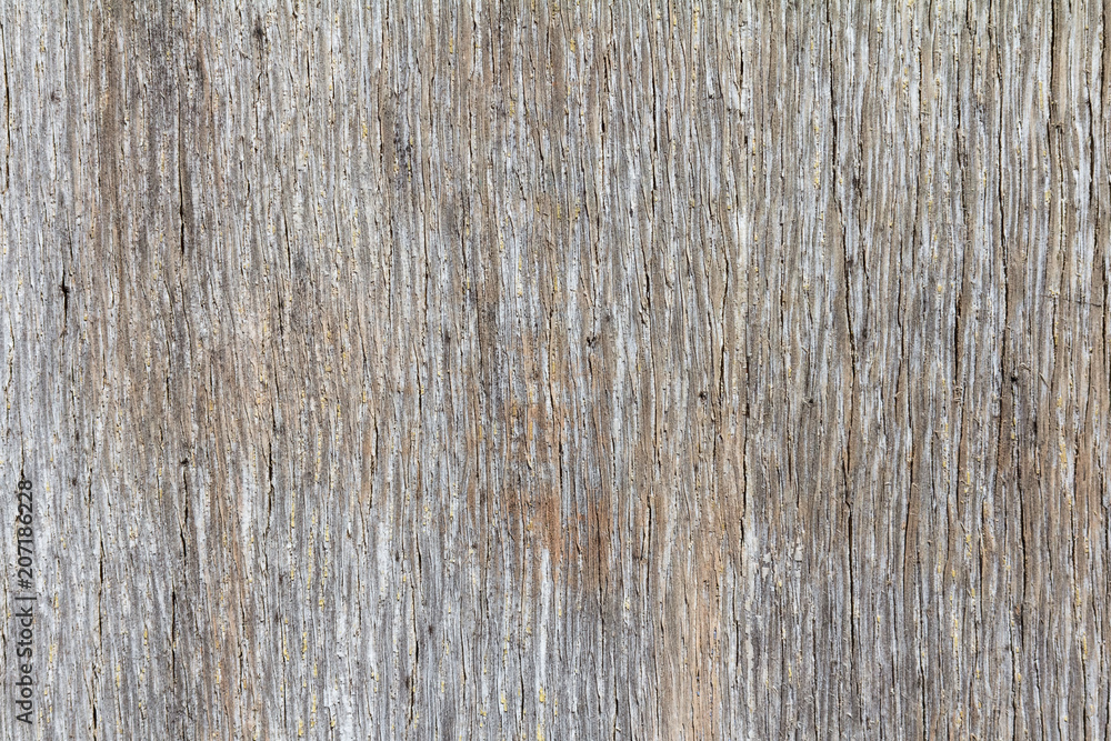 rough surface of old plywood rough surface of old plywood