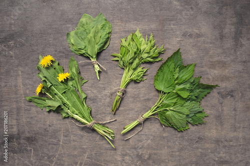 Bunches of spring edible wild herbs slightly dried : nettle, dandelion, goutweed, plantain.