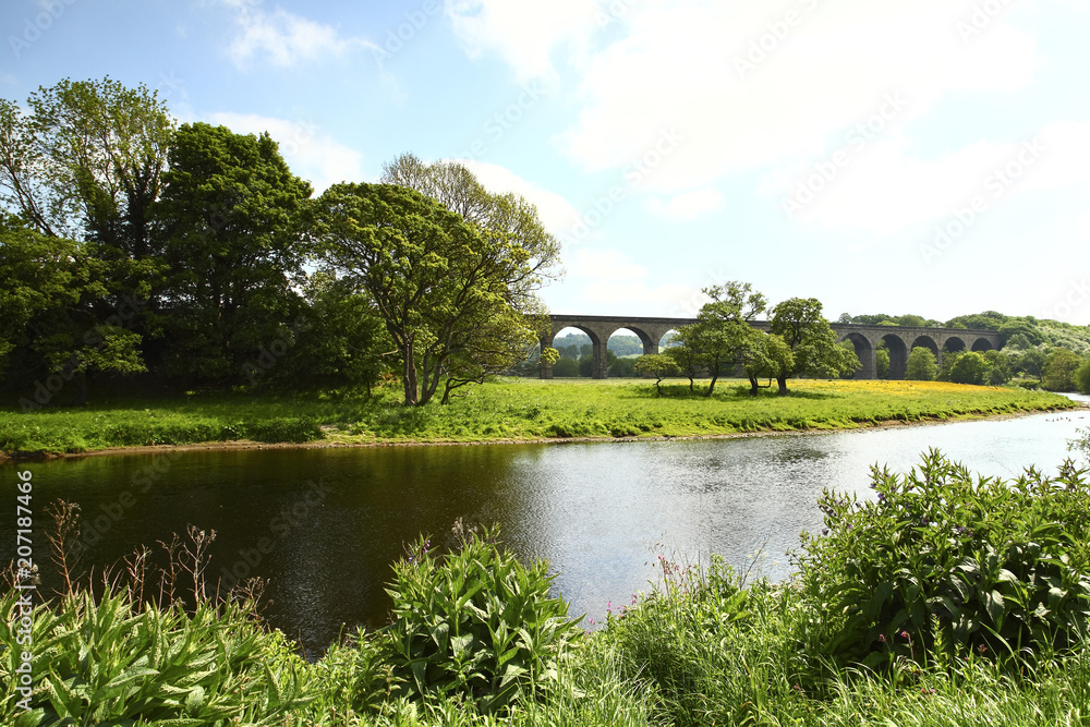 Fototapeta premium Arthington to castley railway viaduct spanning the river wharfe in leeds west yorkshire on a sunny spring day