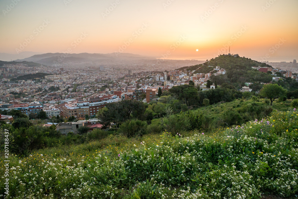 Beautiful viewpoint of Barcelona at sunrise, natural location in spring.