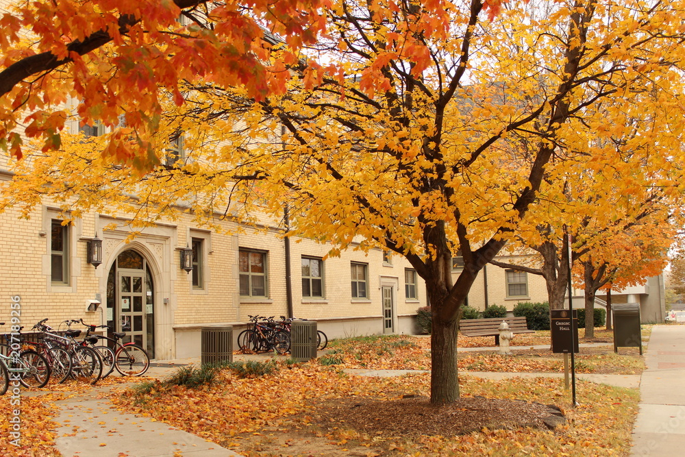 Naklejka premium Building in Autumn