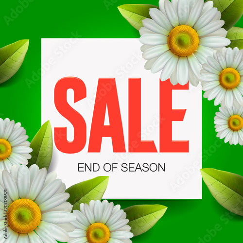 Summer Sale lettering and bouquet realistic daisy, camomile flowers on green background, online shopping, store, advertising poster, vector illustration.