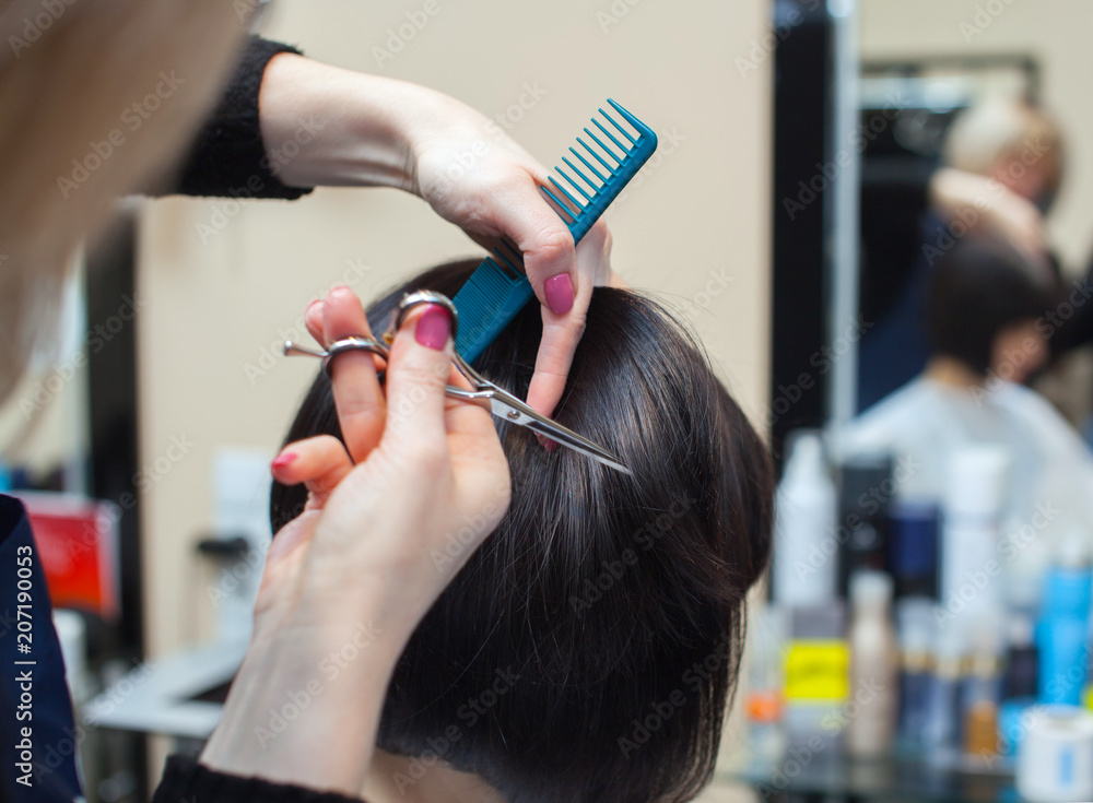 The hairdresser does a haircut with hot scissors of hair to a young girl, a  brunette in a beauty salon. Stock Photo | Adobe Stock