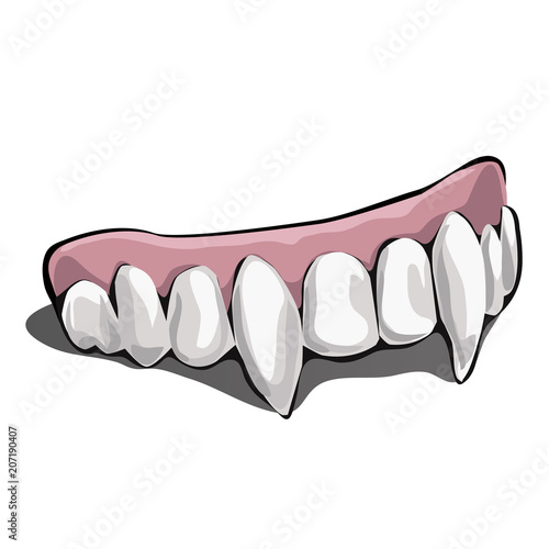Vampire teeth on white background. Vector illustration.