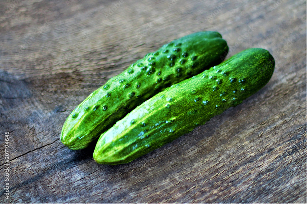 Still life of fresh vegetables. Cucumber (Cucumis sativus). Add to your diet and get vitamins PP, C, B, potassium, magnesium, macro and trace elements. Still life of fresh vegetables. Cucumber (Cucumis sativus). Add to your diet and get vitamins PP, C, B, potassium, magnesium, macro and trace elements.