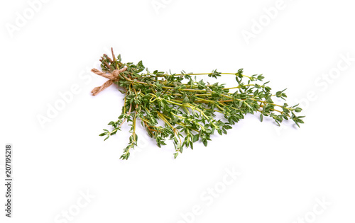 Thyme garden, cooking herb Isolated against a white background.