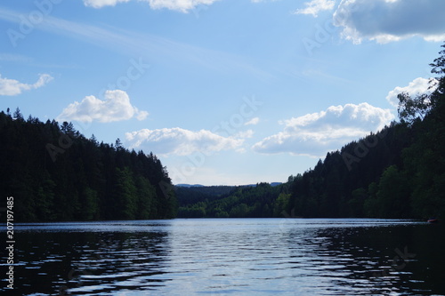 a forest lake in the depths of the forest