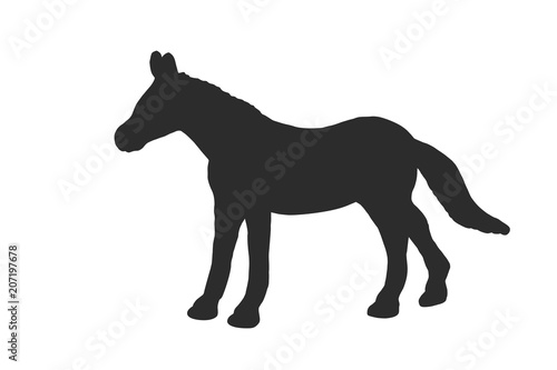 Black silhouette of horse isolated on white background.