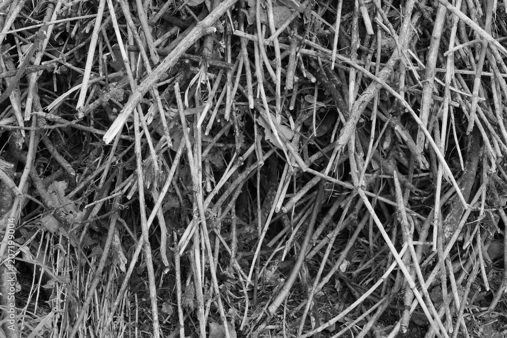 pile of cut branches texture background, a bunch of grunge pile of cut branches texture background, a bunch of grunge