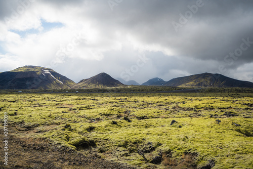 Lava field along Golden Circle, Reykjavik, Iceland