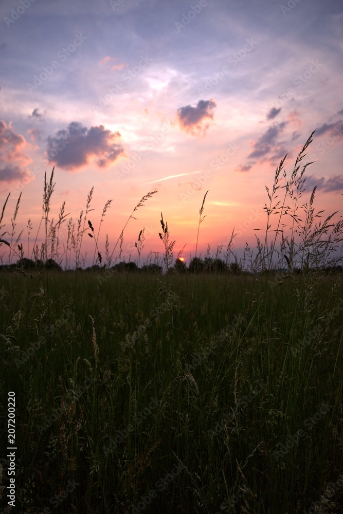 Sunset on a field with grass in front
