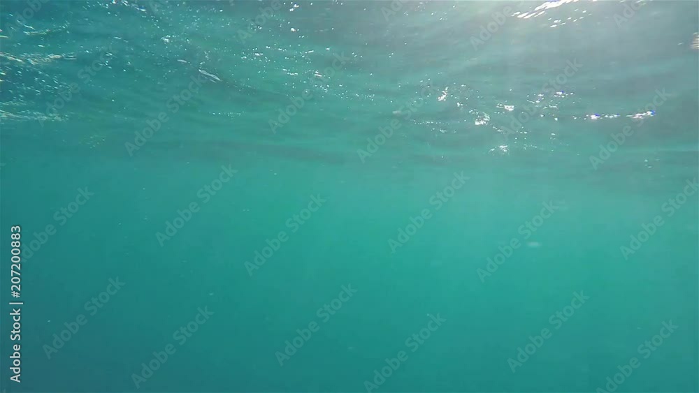 Under water with sunbeams shining through sea Under water with sunbeams shining through sea