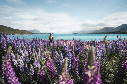 New Zealand - blond girl watching at scenic view of field with purple flowers and blue bay on background