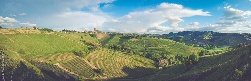 Langhe vineyards landscape of Piedmont, Italy