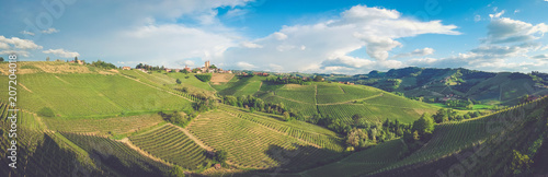 Langhe vineyards landscape of Piedmont  Italy