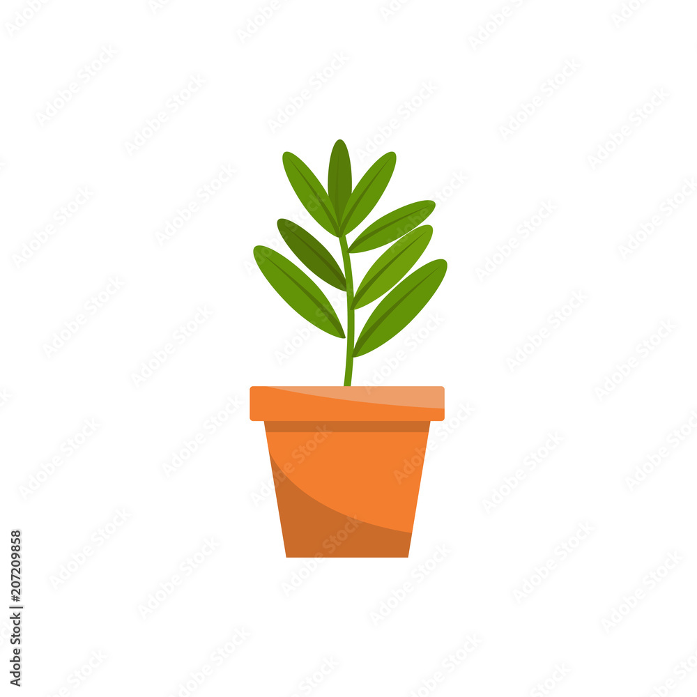 Fototapeta premium Spring colorful flowers in pots Vector